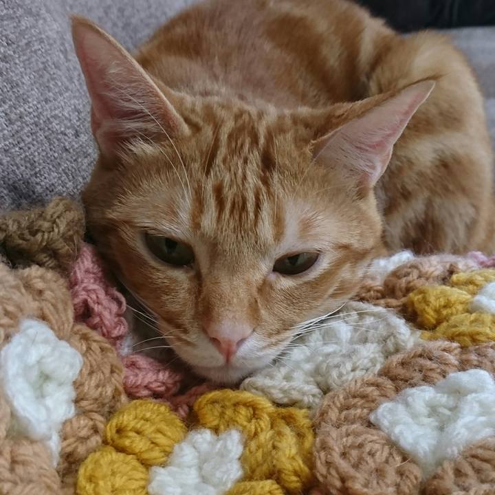 C384f089 f868 48e4 8f24 fbd0ecb86978