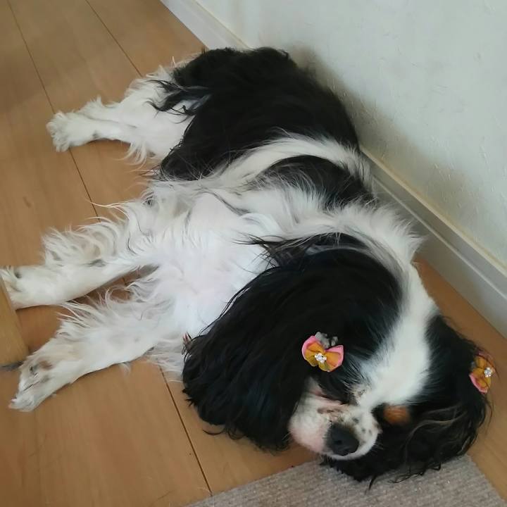 C38572be c0c8 4536 b975 65e29c5933f7