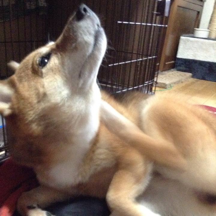 C3860177 d082 423f 9635 9e4cbb8e0987