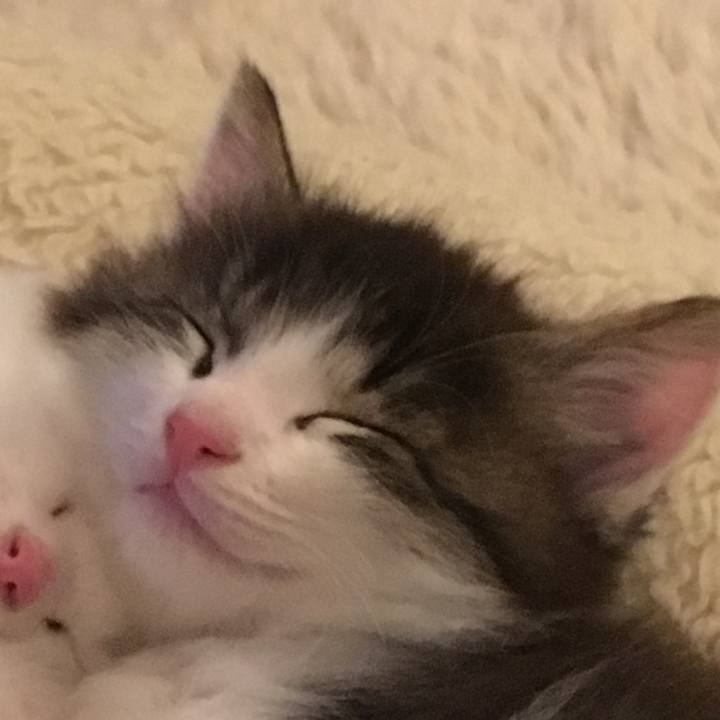 C3861b2b 1ef9 4bb0 99c1 7c5d6b2bbba0