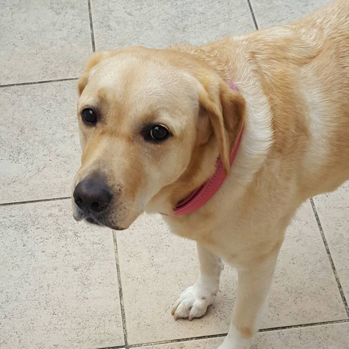 C3865c48 7b84 4eaf 8263 1c1e6044862a