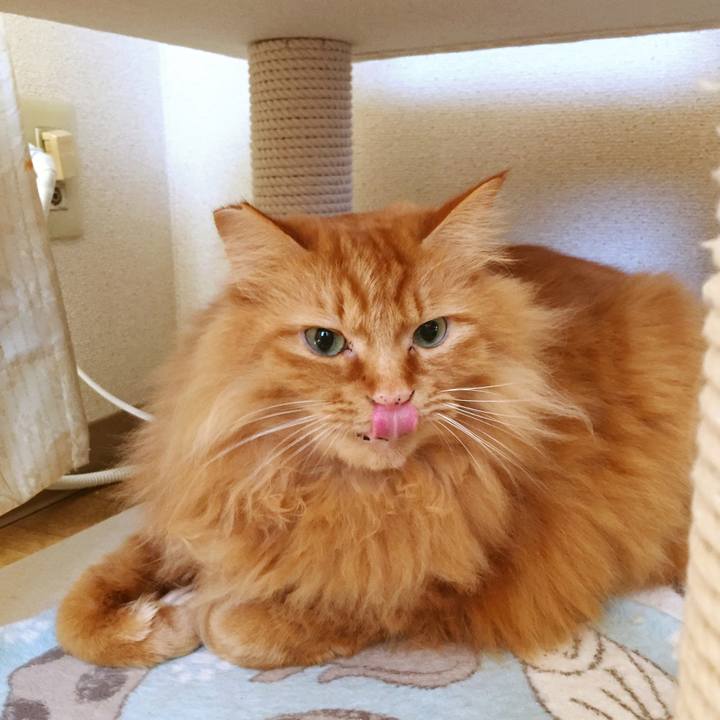 C386919c 6df1 4ddc 9e52 5c2ca735d272