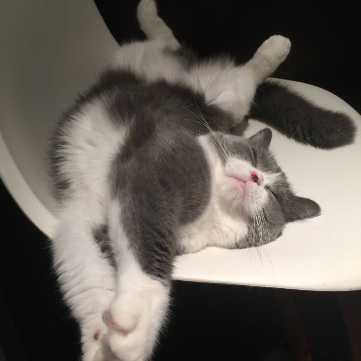 C386caec 0d05 4629 a555 4f8229c50b58