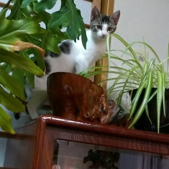 C386f89d 9a8d 4c0d bc85 e83e56f23103