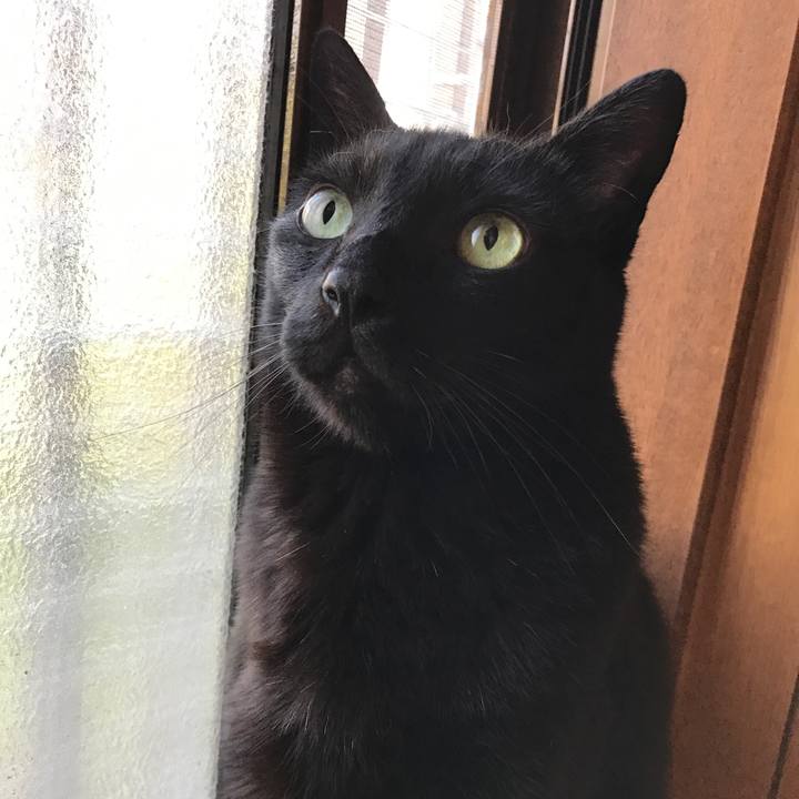 C3876730 b891 404b b66d 26fa34f86b1b