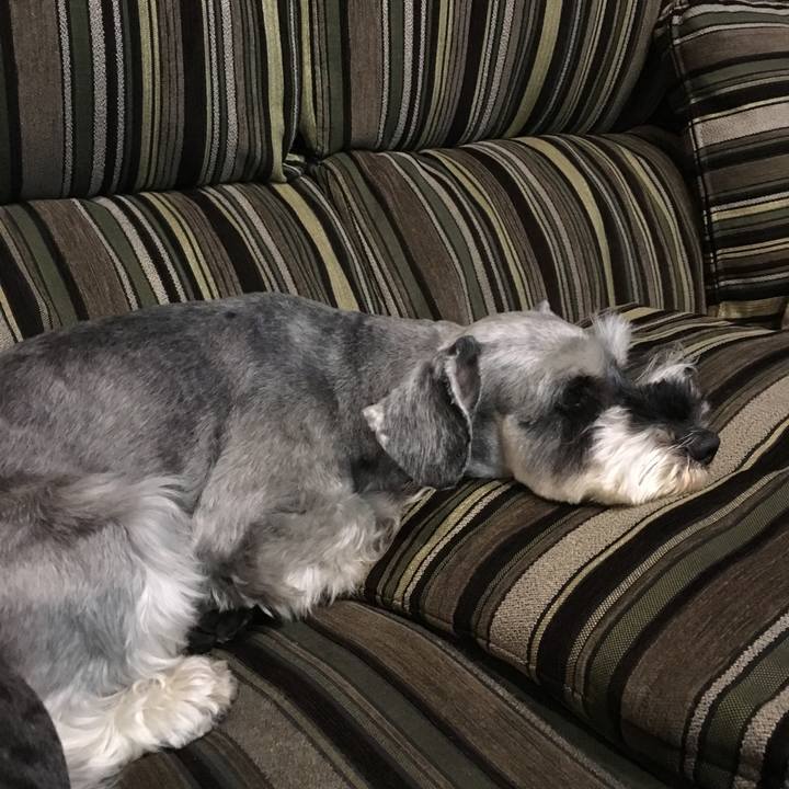 C387a150 aed4 4854 9f3f 516150983a45