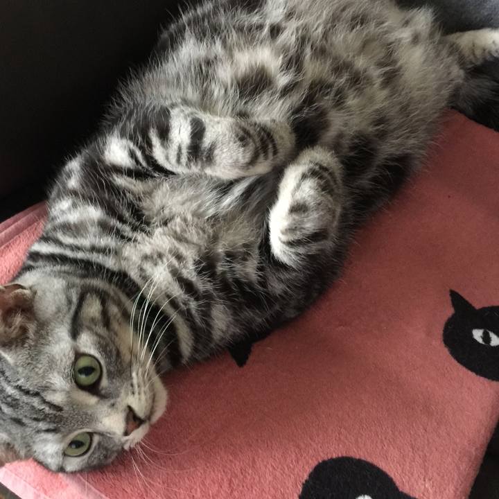 C387b5b6 59d8 40c9 9652 929e908e1c0e