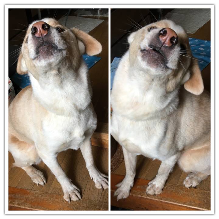 C3886d5b e04c 496a b030 f111550d690d