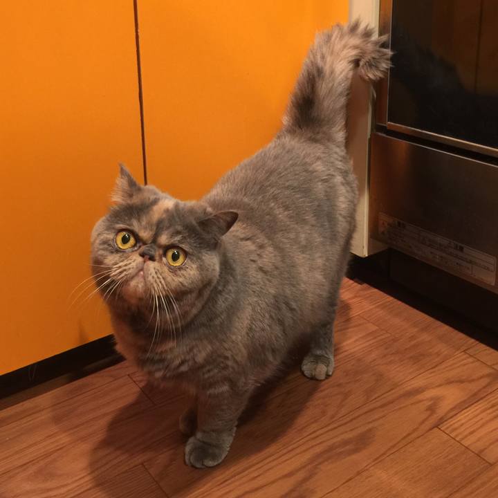 C388b718 0203 4c54 8f9e a00748162797