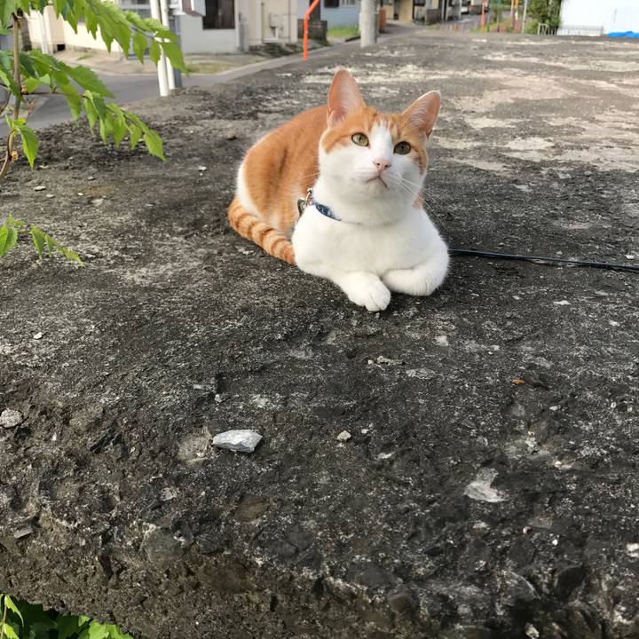 C3890141 8534 4328 9a80 b812168aa157