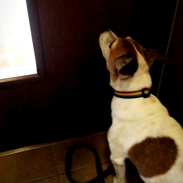 C38b3c9f b193 4140 b086 dd08187014e5