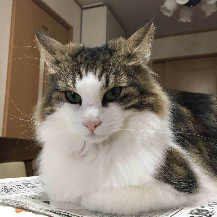 C38b77b6 2a03 4ee2 8126 1710cfbe0998