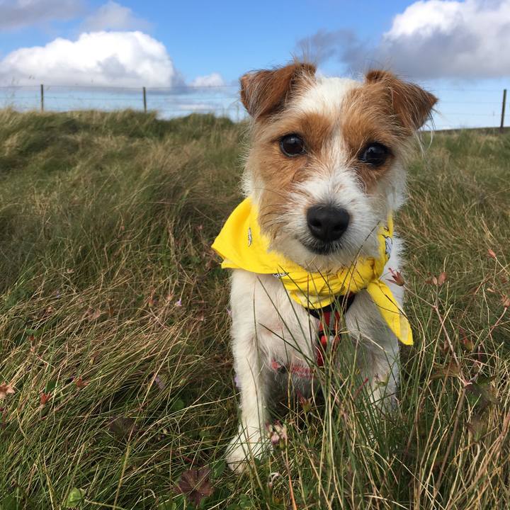 C38b7c8a 4681 41d5 851a 534a5aca820d