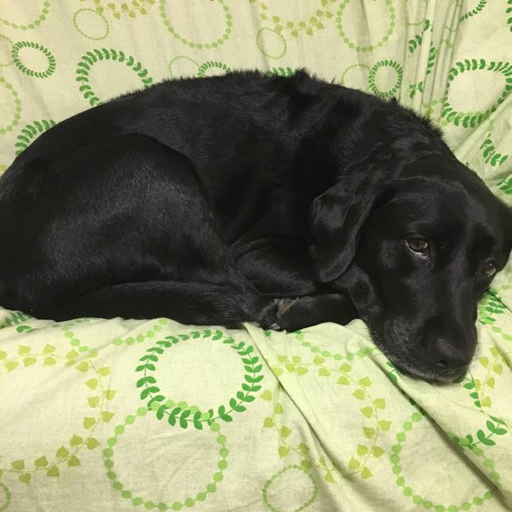 C38d2c27 18cc 4fa9 960f 0bc393cd8890