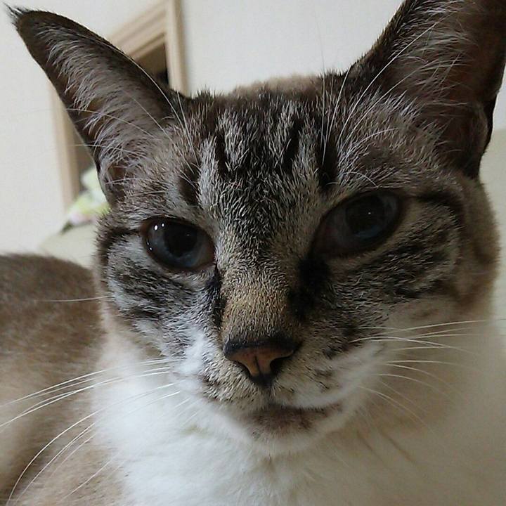 C38d61e9 5bd4 494b b4c1 9fdde72a12ba