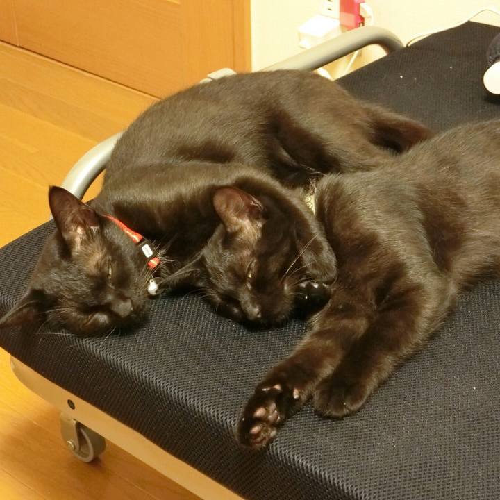 C38daaa0 4f1e 404c 91fc e6f7e0653c1d