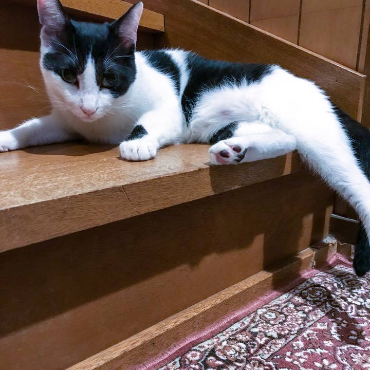 C38dd5be adaa 4742 ba2a 706e730d608d