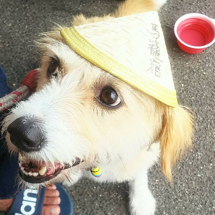 C38dfd7a b549 4ab3 83f4 948a8af96e9b