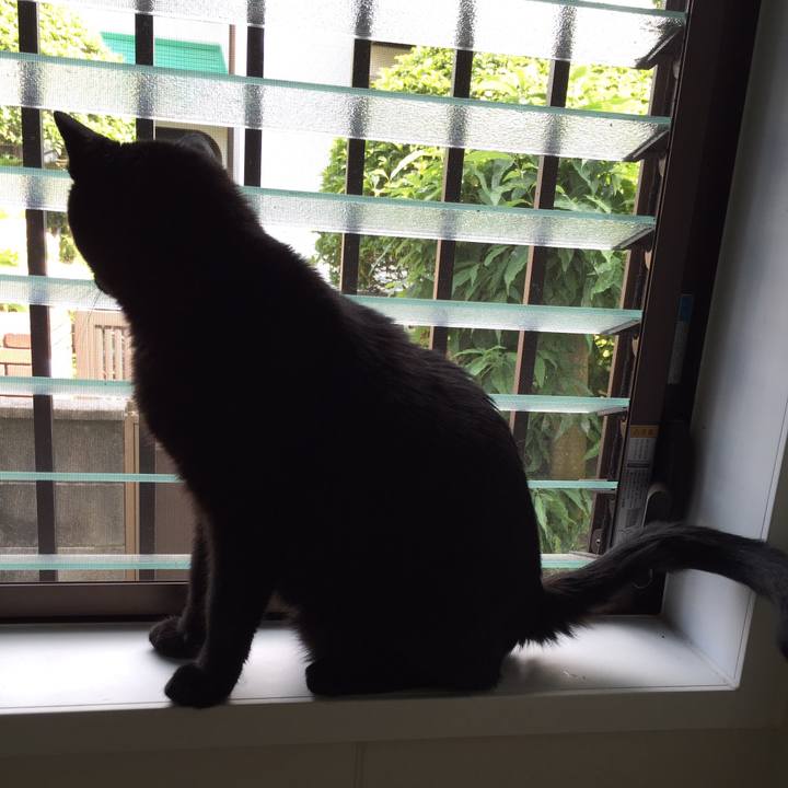 C38e3fc3 7df8 4593 88a0 4ecb9c2d08c6