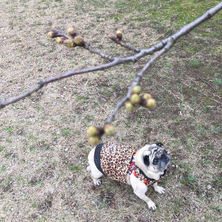 C38ec0b8 b7b3 4c75 90ff f226260e8974