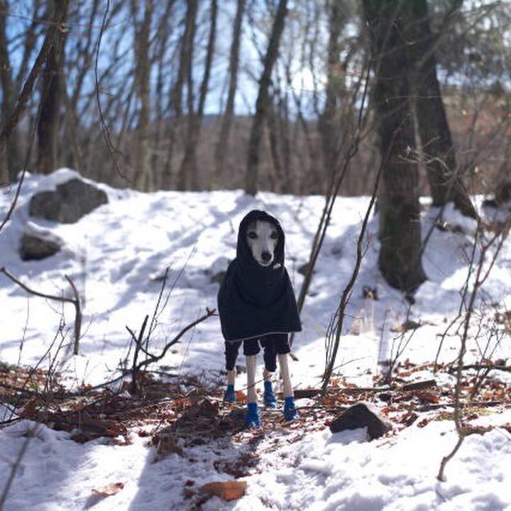 C38f7d3b 05ac 4042 b8f2 073ef0cebd9b