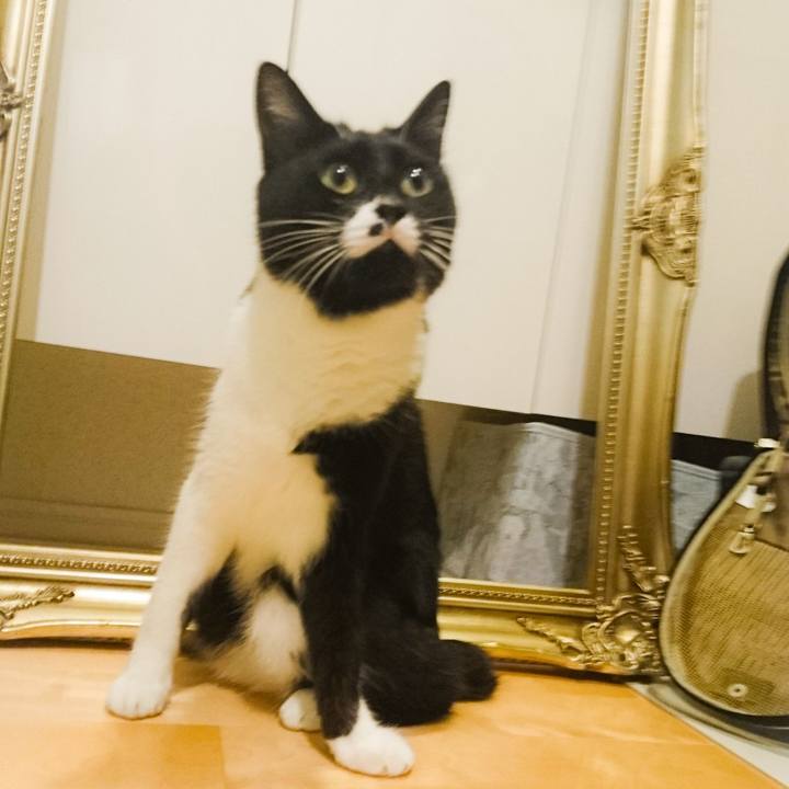 C390aae7 8060 4758 86ed be61aa44e3cb