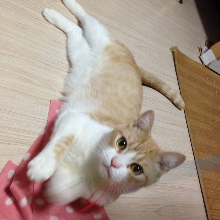 C390d305 c9ad 413b 846f e18e5ec15878