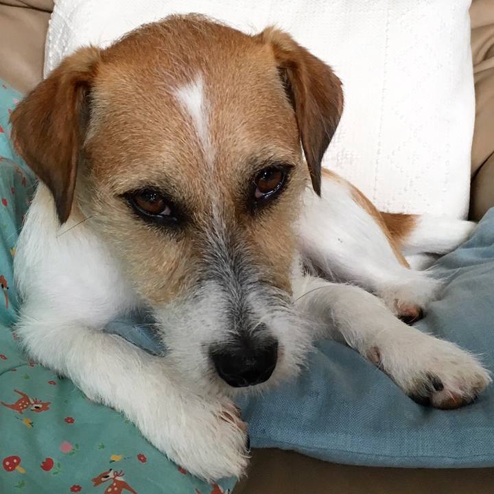 C39186ca 57d4 4d19 bc71 da3a85077cb1