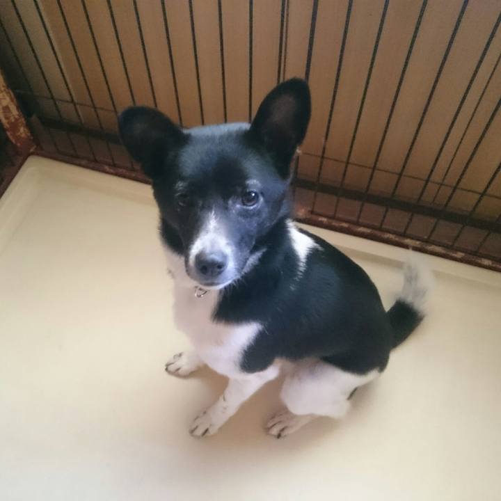 C3921325 1d58 4066 a47f f9cb4bfdc298