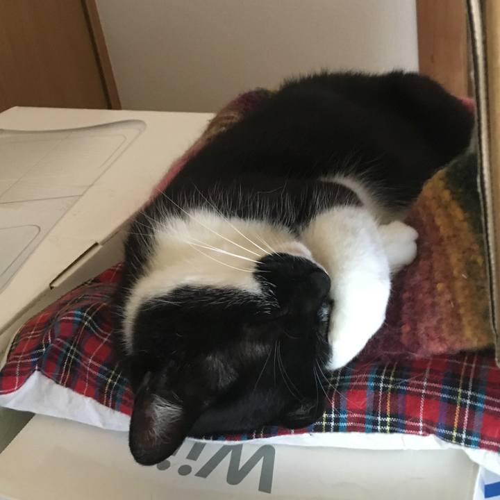 C3924637 eb40 4e8c 8ab2 7616237c0370