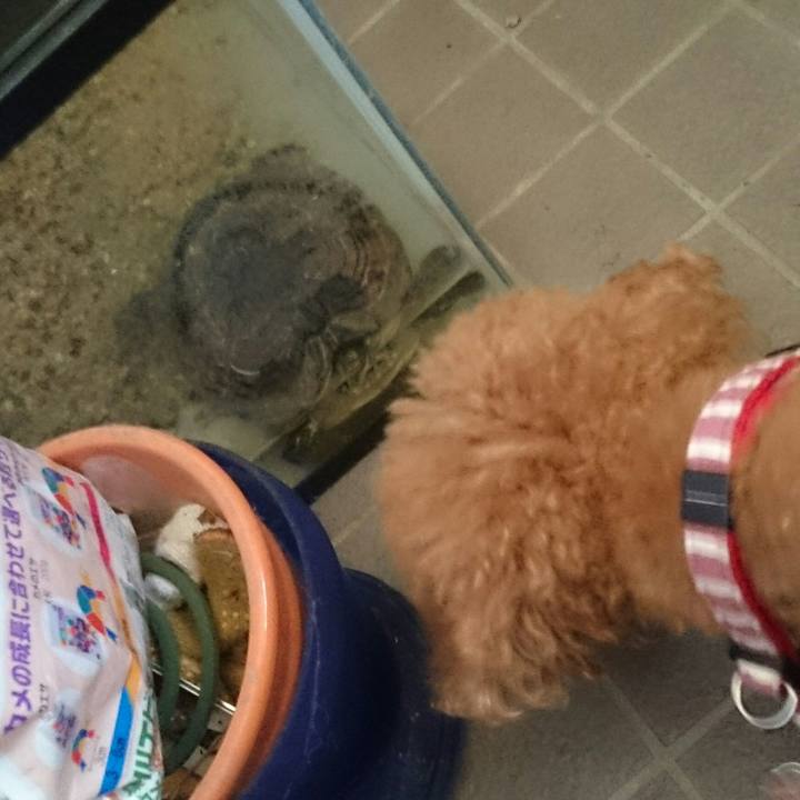 C39246d8 8b63 4b87 b242 923d7a26b3a7