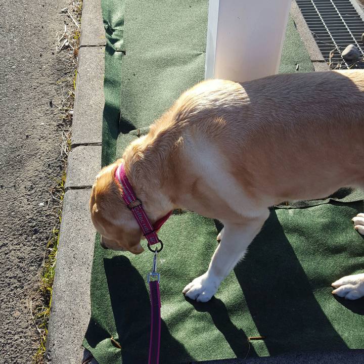 C3929b52 c080 4c7c 8cd7 1831c1b270b7