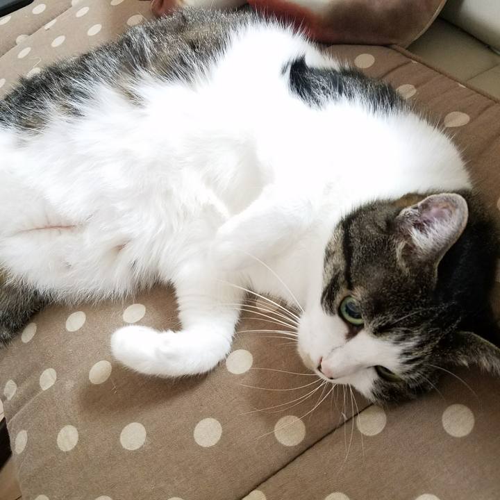 C392aa65 0581 4ef1 bfaf 014ed27de9e7