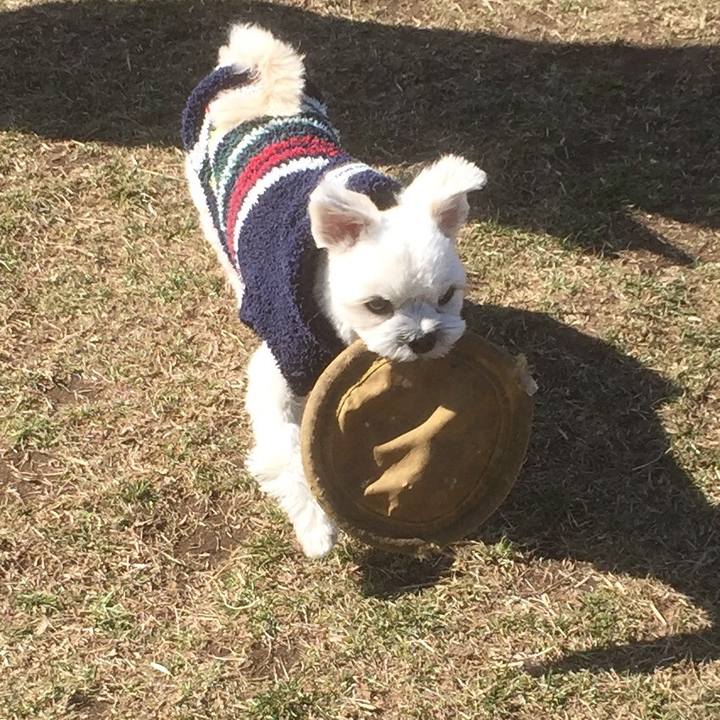 C392bdf0 67c6 46be 9d76 12190c2b42fa