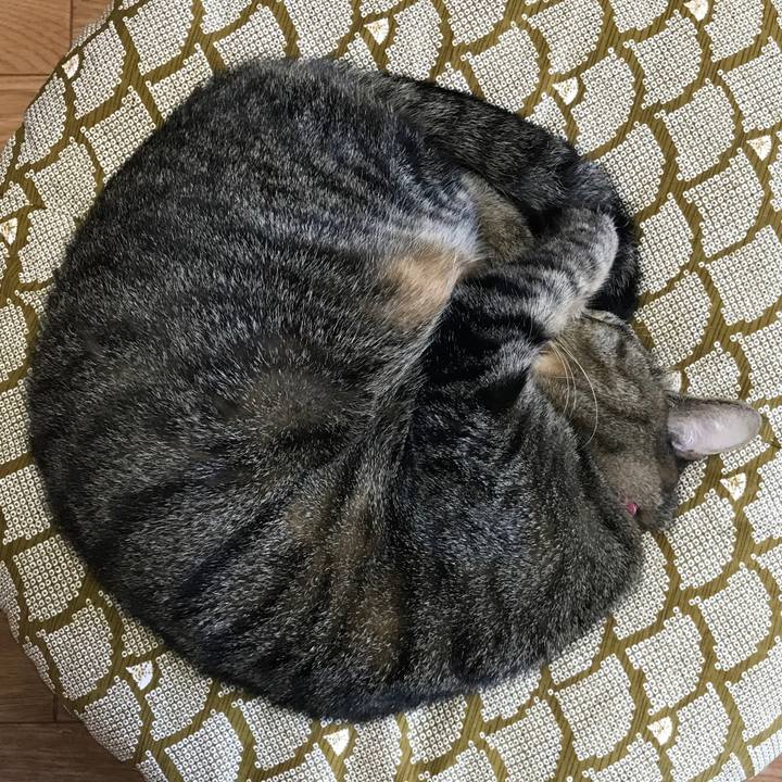 C39370a6 c7f6 4d9b 855a 410a8ae0f791