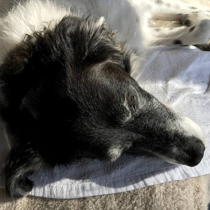 C393d784 8e22 4382 ac7b dbf79fde5be0