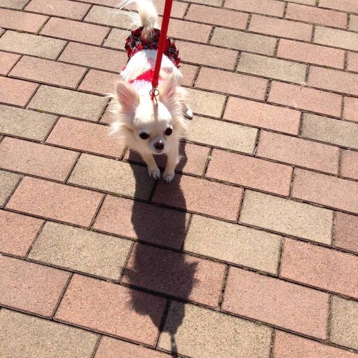 C394d4df 52f4 4501 9610 596a273aceb0