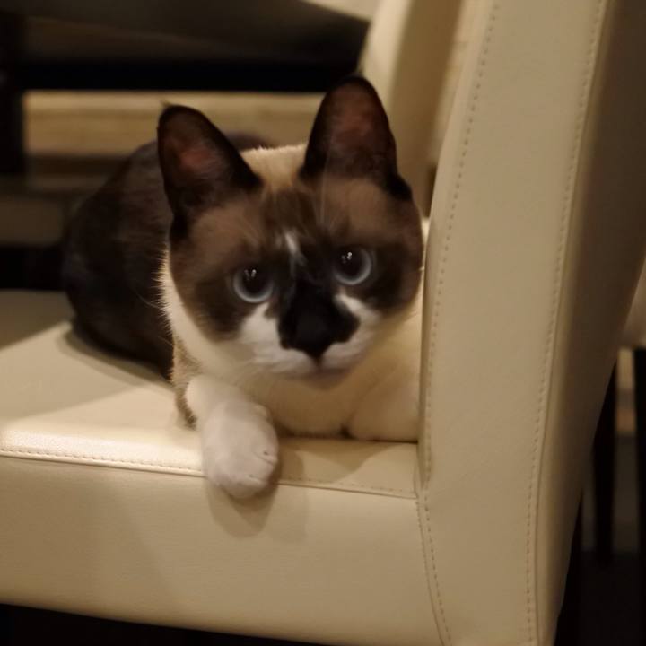 C3953645 990c 479d a860 4a65b2485e14