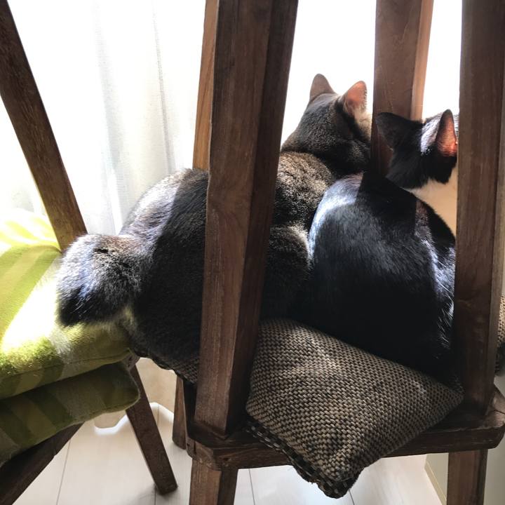 C396985d 5e38 48e8 bbec 56818f79565d