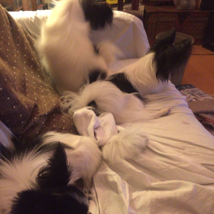 C396d5bf b54d 449e a2bc 441ebedf2718