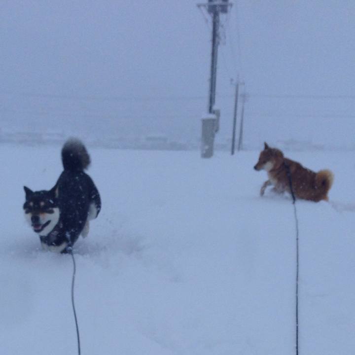 C397ae31 3a50 47bf 8e0e a1461d677e43