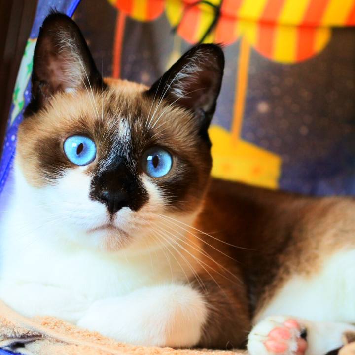 C397b22d ccc2 49a2 bb6c c75a730b99a1