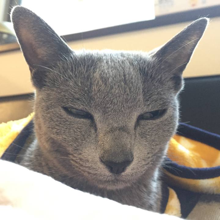 C397d3a6 ba94 4e1b 93f4 1a8fa6afb0f9