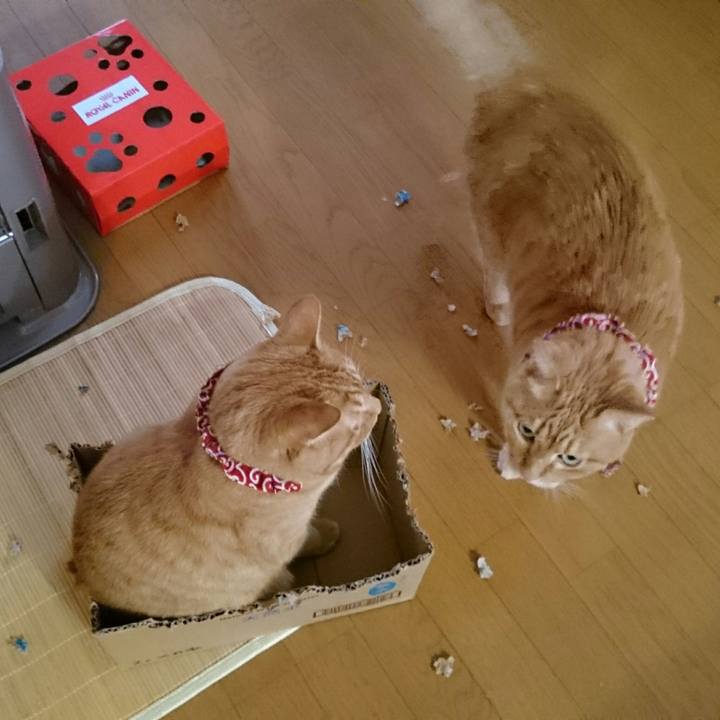 C39829ac 914c 401c b72b 762bf20d7c0a