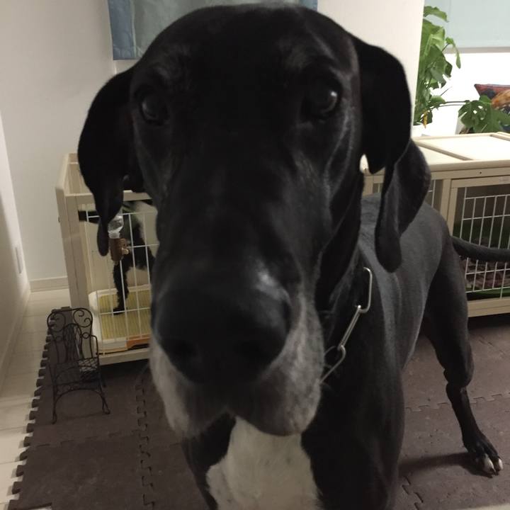 C39929bf b0d2 4fd4 b232 fbb28667f5bf