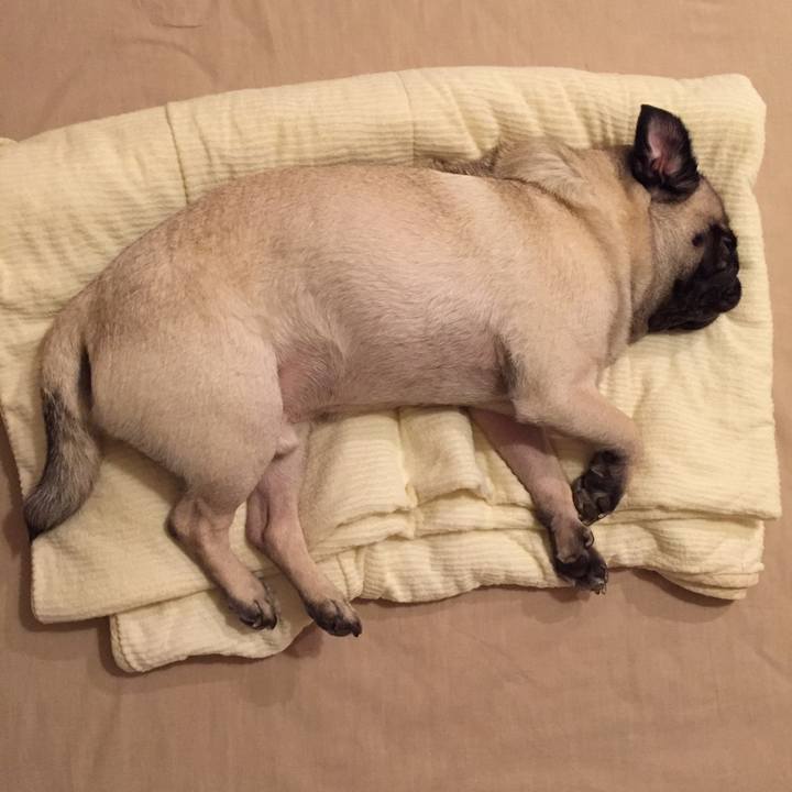 C3998b77 1d0b 4555 b19f 5c7b8e6e8ff9