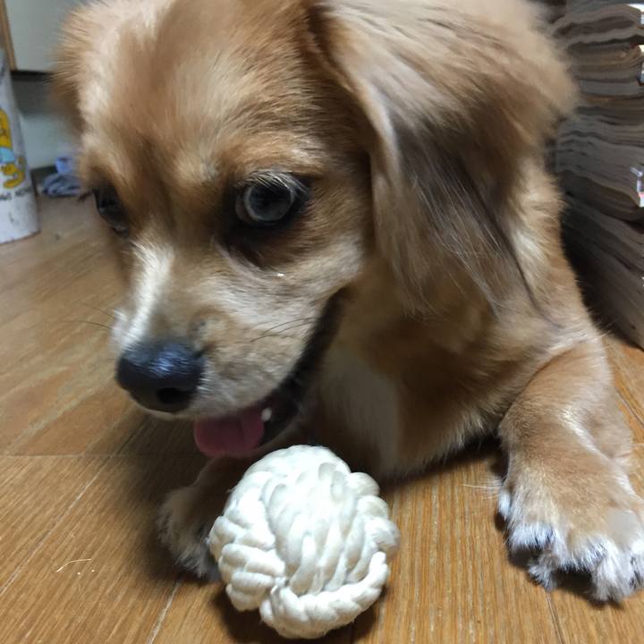 C39a2a13 fae1 4802 858f 976c61942649