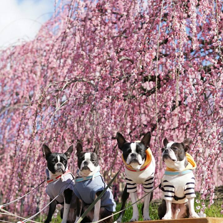 C39a4374 0333 4d80 b564 1fa451781344