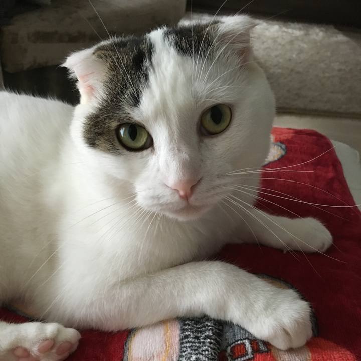 C39a8da2 b889 43f3 a85a 898a8b33adb2