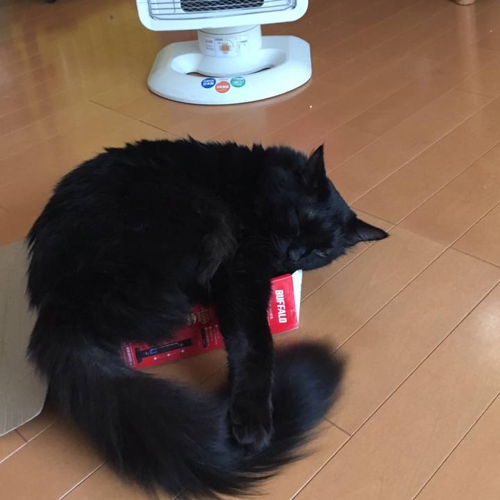 C39a9b36 9433 4b99 8d76 1167e5e0ceb8